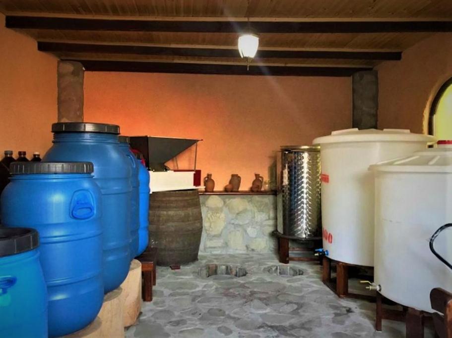 Guesthouse Lilia &Wine Celler Telavi Ngoại thất bức ảnh